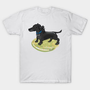 Dachshund Tanky T-Shirt